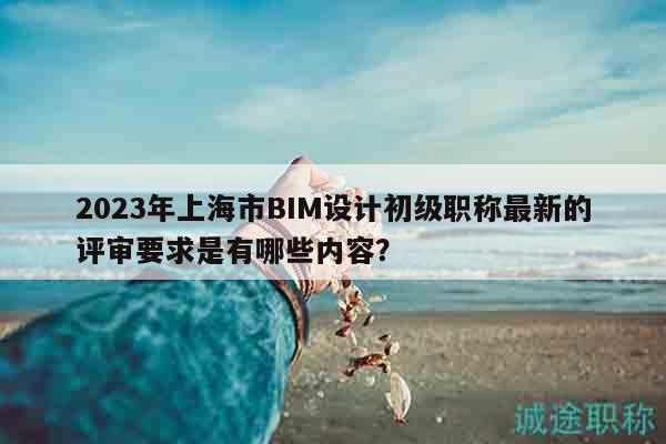 2023年上海市BIM設(shè)計初級職稱最新的評審要求是有哪些內(nèi)容？
