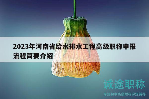 2023年河南省給水排水工程高級職稱申報(bào)流程簡要介紹