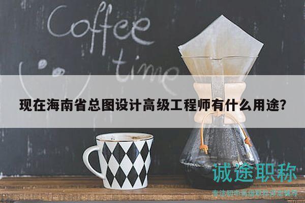 現(xiàn)在海南省總圖設(shè)計(jì)高級(jí)工程師有什么用途？