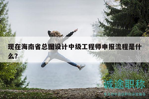 現(xiàn)在海南省總圖設(shè)計中級工程師申報流程是什么？