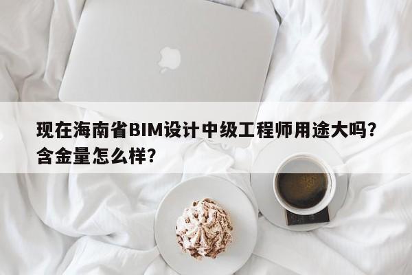 現(xiàn)在海南省BIM設(shè)計中級工程師用途大嗎？含金量怎么樣？