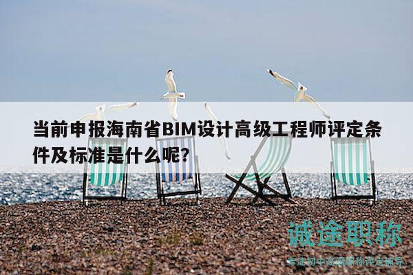 當(dāng)前申報(bào)海南省BIM設(shè)計(jì)高級(jí)工程師評(píng)定條件及標(biāo)準(zhǔn)是什么呢？