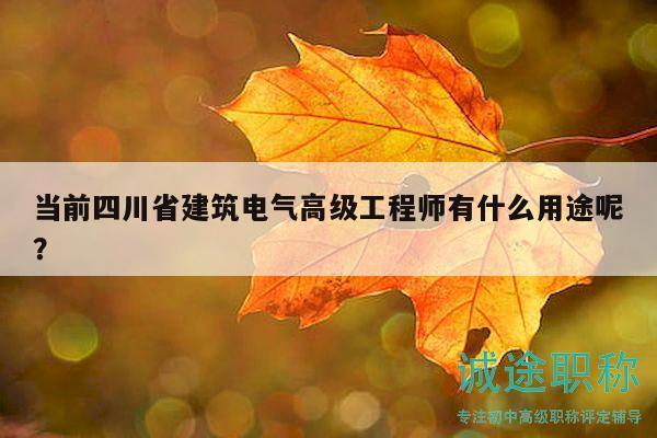 當前四川省建筑電氣高級工程師有什么用途呢？