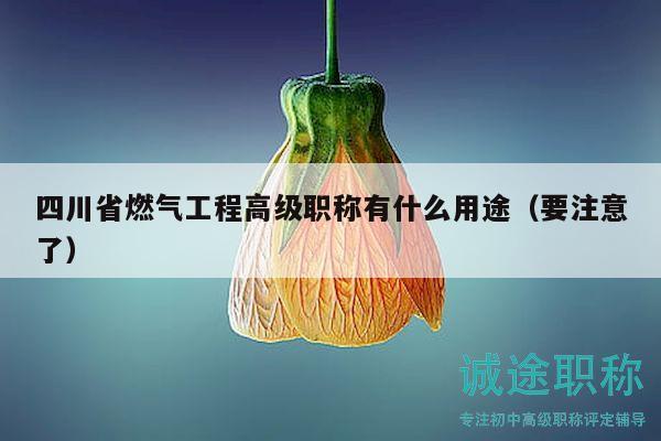 四川省燃?xì)夤こ谈呒?jí)職稱(chēng)有什么用途（要注意了）