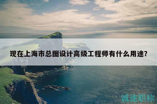 現(xiàn)在上海市總圖設(shè)計(jì)高級(jí)工程師有什么用途？