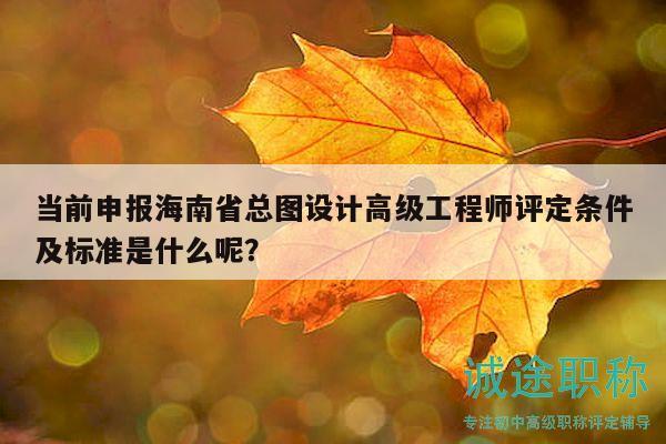 當(dāng)前申報海南省總圖設(shè)計高級工程師評定條件及標準是什么呢？