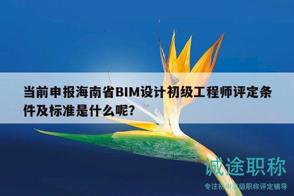 當前申報海南省BIM設計初級工程師評定條件及標準是什么呢？