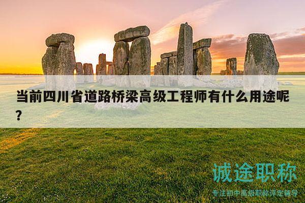 當(dāng)前四川省道路橋梁高級工程師有什么用途呢？