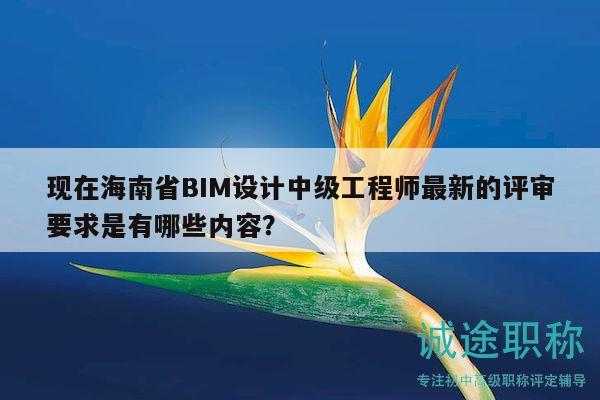現(xiàn)在海南省BIM設計中級工程師最新的評審要求是有哪些內容？