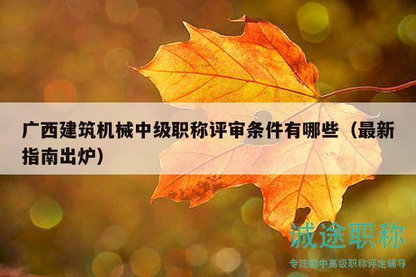 廣西建筑機(jī)械中級(jí)職稱評(píng)審條件有哪些（最新指南出爐）