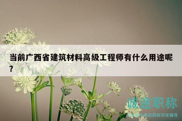 當前廣西省建筑材料高級工程師有什么用途呢？