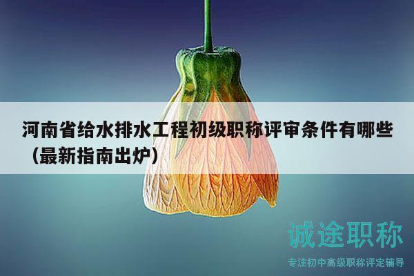 河南省給水排水工程初級職稱評審條件有哪些（最新指南出爐）