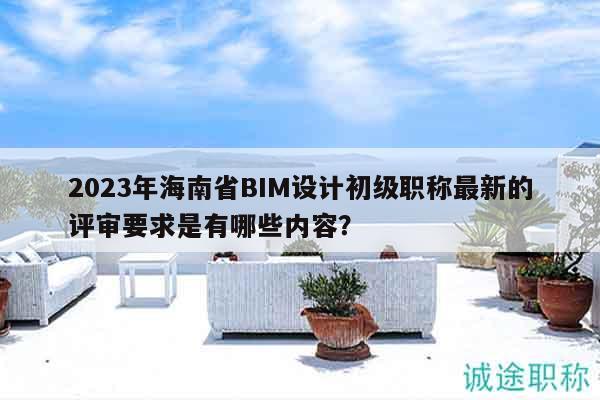 2023年海南省BIM設(shè)計(jì)初級職稱最新的評審要求是有哪些內(nèi)容？