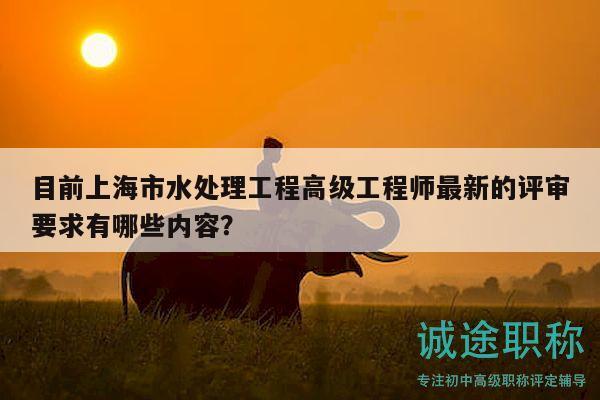 目前上海市水處理工程高級(jí)工程師最新的評(píng)審要求有哪些內(nèi)容？