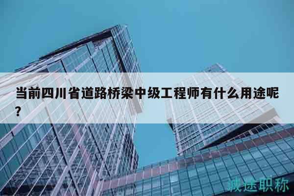 當(dāng)前四川省道路橋梁中級(jí)工程師有什么用途呢？