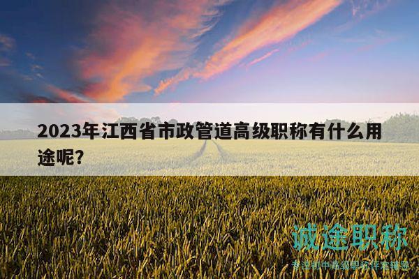 2023年江西省市政管道高級(jí)職稱(chēng)有什么用途呢？