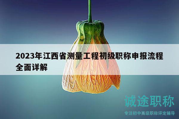 2023年江西省測量工程初級職稱申報流程全面詳解