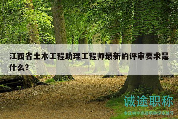 江西省土木工程助理工程師最新的評審要求是什么？