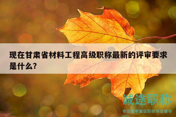現(xiàn)在甘肅省材料工程高級(jí)職稱最新的評(píng)審要求是什么？