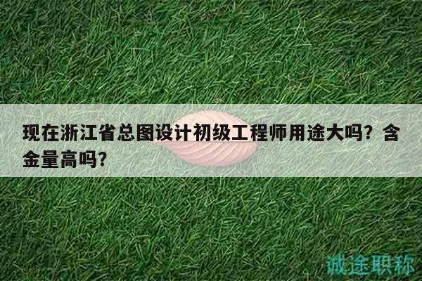 現(xiàn)在浙江省總圖設(shè)計(jì)初級(jí)工程師用途大嗎？含金量高嗎？