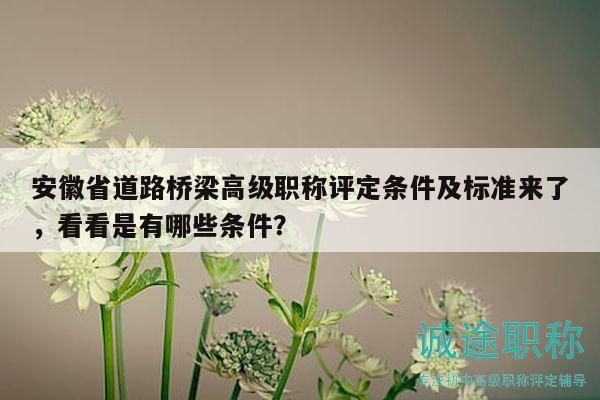 安徽省道路橋梁高級職稱評定條件及標準來了，看看是有哪些條件？
