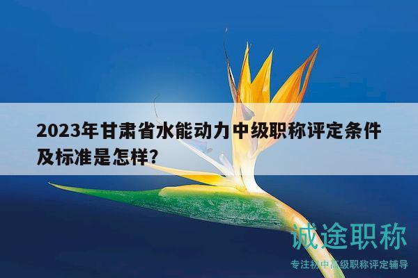 2023年甘肅省水能動(dòng)力中級(jí)職稱評(píng)定條件及標(biāo)準(zhǔn)是怎樣？