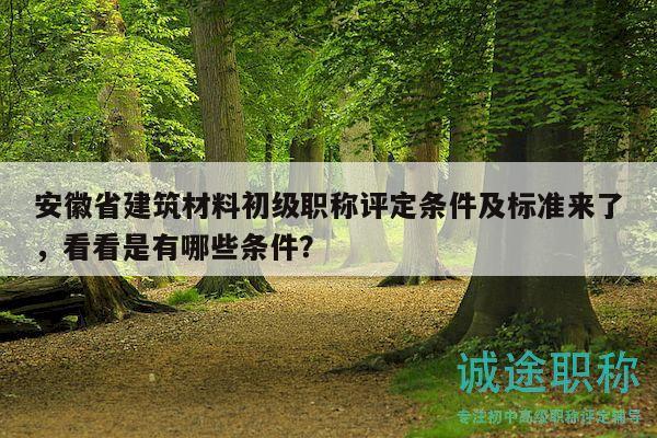 安徽省建筑材料初級(jí)職稱評(píng)定條件及標(biāo)準(zhǔn)來(lái)了，看看是有哪些條件？