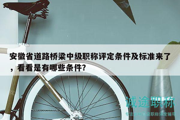 安徽省道路橋梁中級(jí)職稱評定條件及標(biāo)準(zhǔn)來了，看看是有哪些條件？