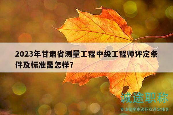 2023年甘肅省測(cè)量工程中級(jí)工程師評(píng)定條件及標(biāo)準(zhǔn)是怎樣？