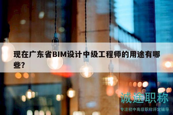 現(xiàn)在廣東省BIM設(shè)計(jì)中級(jí)工程師的用途有哪些？