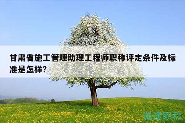 甘肅省施工管理助理工程師職稱評定條件及標(biāo)準(zhǔn)是怎樣？