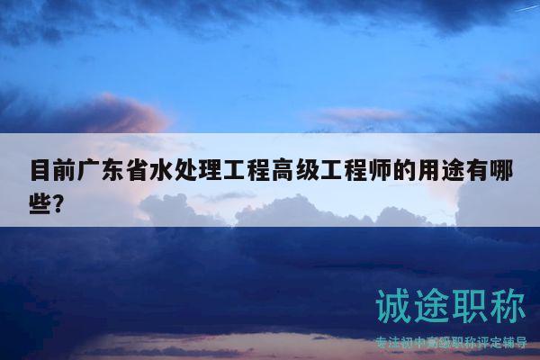 目前廣東省水處理工程高級(jí)工程師的用途有哪些？