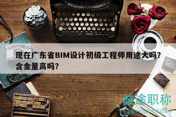 現(xiàn)在廣東省BIM設(shè)計(jì)初級(jí)工程師用途大嗎？含金量高嗎？