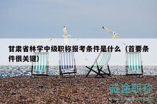 甘肅省林學(xué)中級職稱報考條件是什么（首要條件很關(guān)鍵）