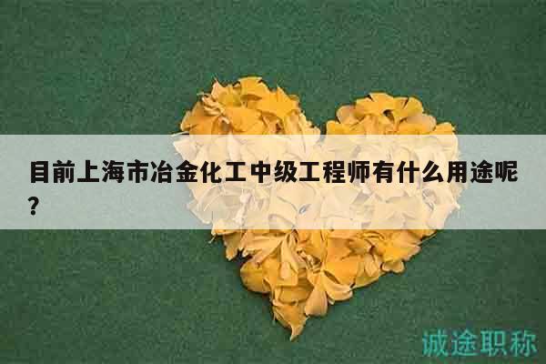 目前上海市冶金化工中級工程師有什么用途呢？