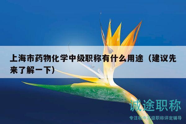 上海市藥物化學(xué)中級(jí)職稱有什么用途（建議先來(lái)了解一下）