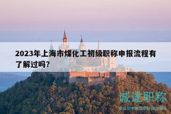 2023年上海市煤化工初級職稱申報流程有了解過嗎？
