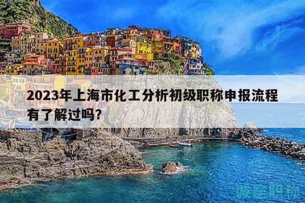 2023年上海市化工分析初級職稱申報(bào)流程有了解過嗎？