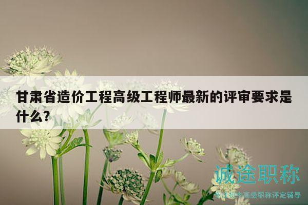 甘肅省造價(jià)工程高級(jí)工程師最新的評(píng)審要求是什么？