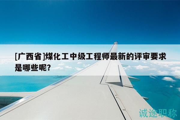 [廣西省]煤化工中級工程師最新的評審要求是哪些呢？