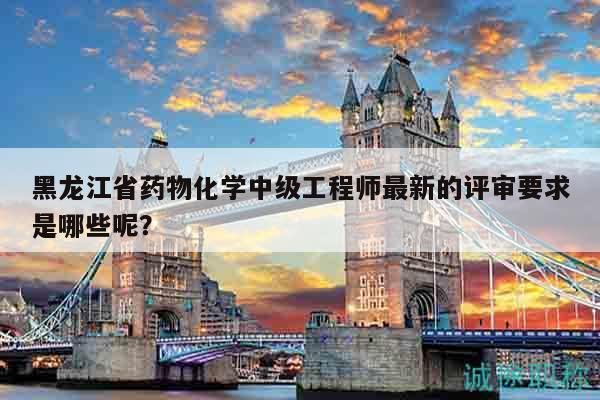 黑龍江省藥物化學(xué)中級(jí)工程師最新的評(píng)審要求是哪些呢？