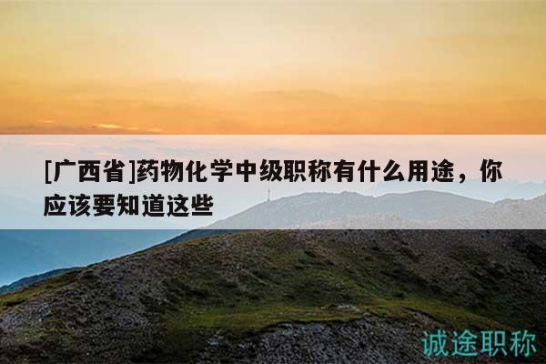 [廣西省]藥物化學(xué)中級職稱有什么用途，你應(yīng)該要知道這些
