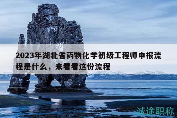 2023年湖北省藥物化學初級工程師申報流程是什么，來看看這份流程