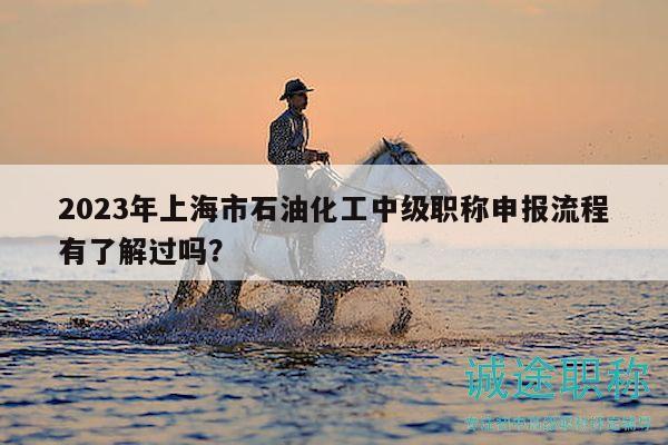 2023年上海市石油化工中級職稱申報流程有了解過嗎？