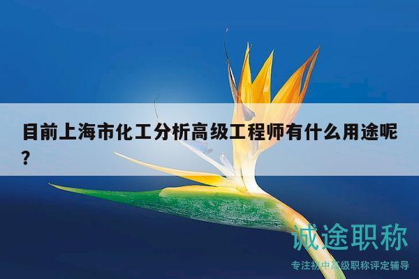 目前上海市化工分析高級工程師有什么用途呢？