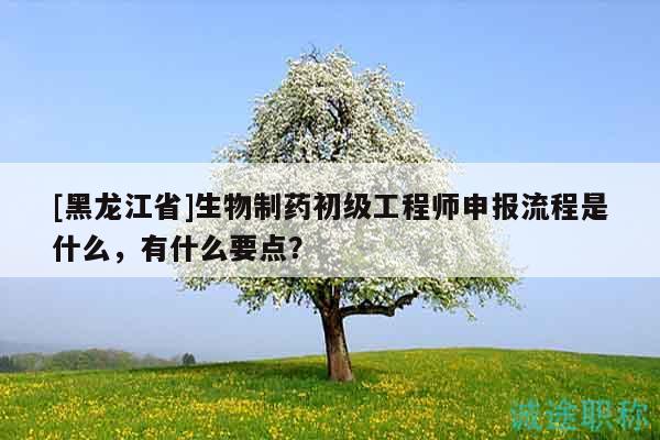 [黑龍江省]生物制藥初級工程師申報流程是什么，有什么要點？