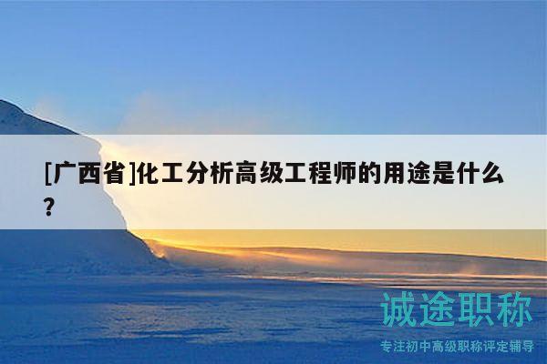 [廣西省]化工分析高級(jí)工程師的用途是什么？