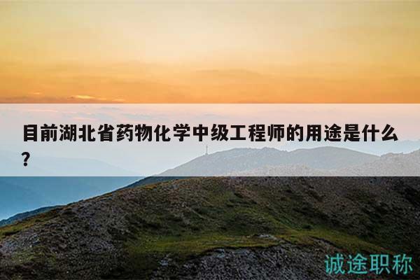 目前湖北省藥物化學(xué)中級工程師的用途是什么？