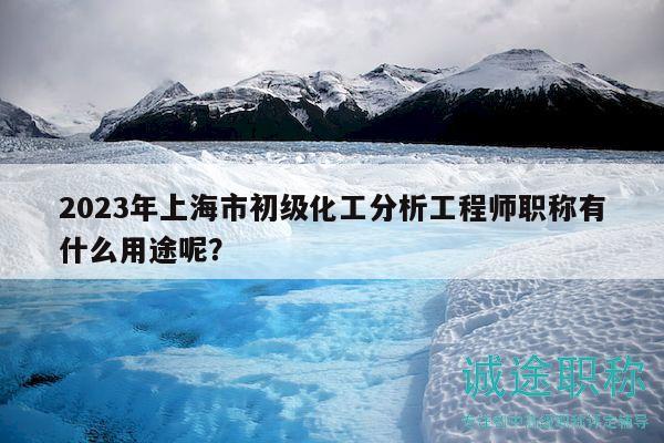 2023年上海市初級化工分析工程師職稱有什么用途呢？