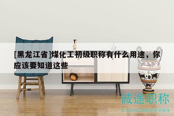 [黑龍江省]煤化工初級(jí)職稱(chēng)有什么用途，你應(yīng)該要知道這些